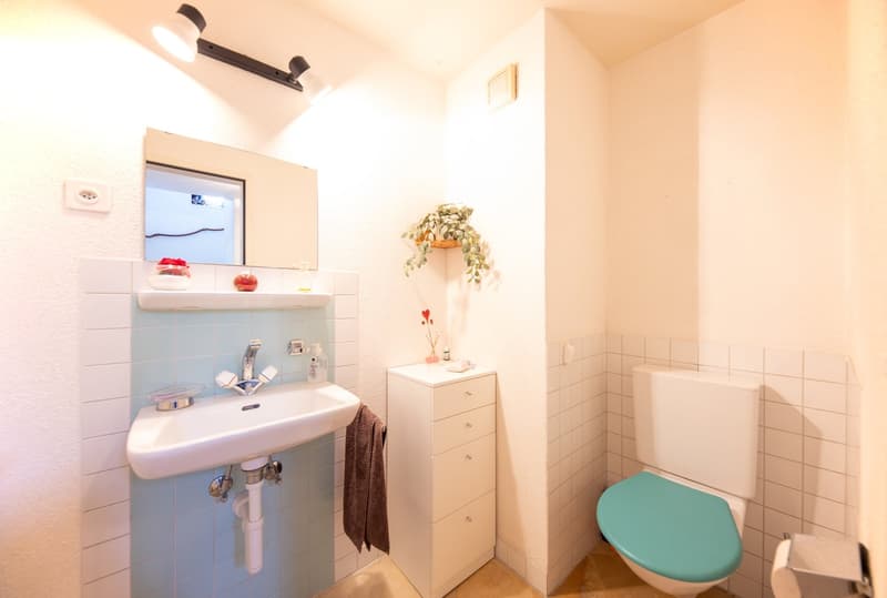 Lots of space for the whole family: 5 ½-room single-family house in a quiet, sunny location (13)
