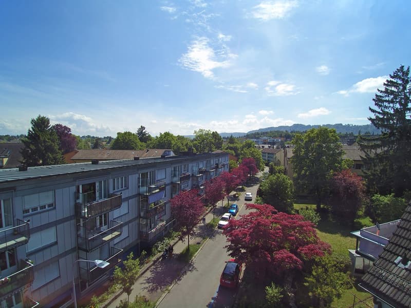 Attractive building land in a quiet location in Zurich-Wollishofen (10)