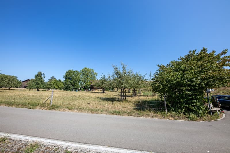 Vue panoramique imprenable : parcelle de construction ensoleillée à Hombrechtikon (7)
