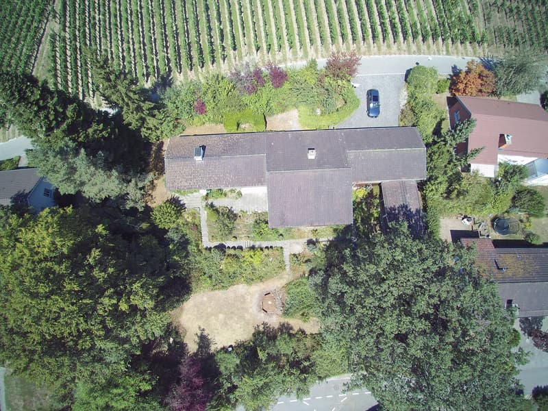 Grosszügige Baulandparzelle von 2'582 m² an ruhiger Lage in Rafz (4)