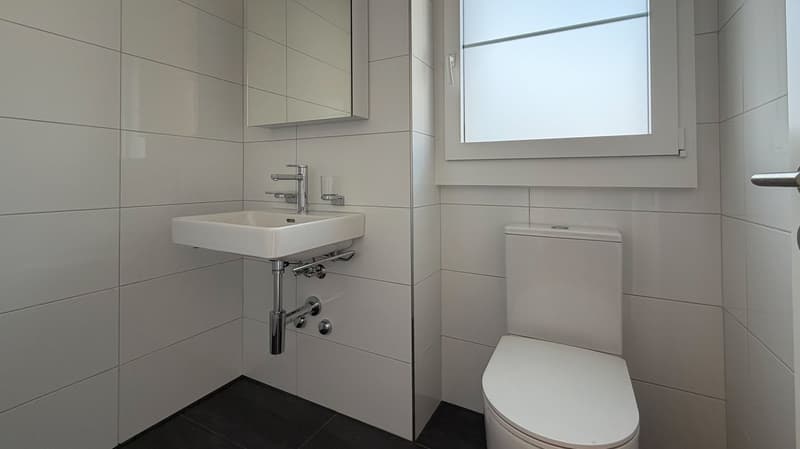 separates WC