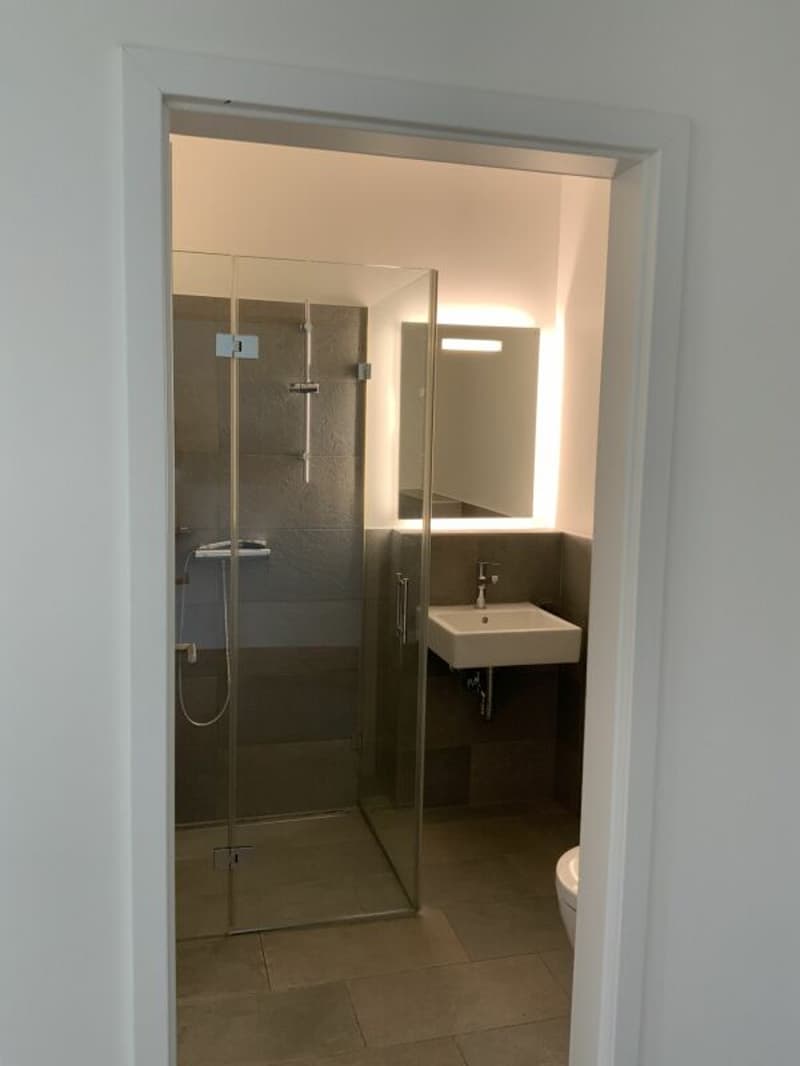 Flusshaus AQUAMARIN Gebenstorf (26)