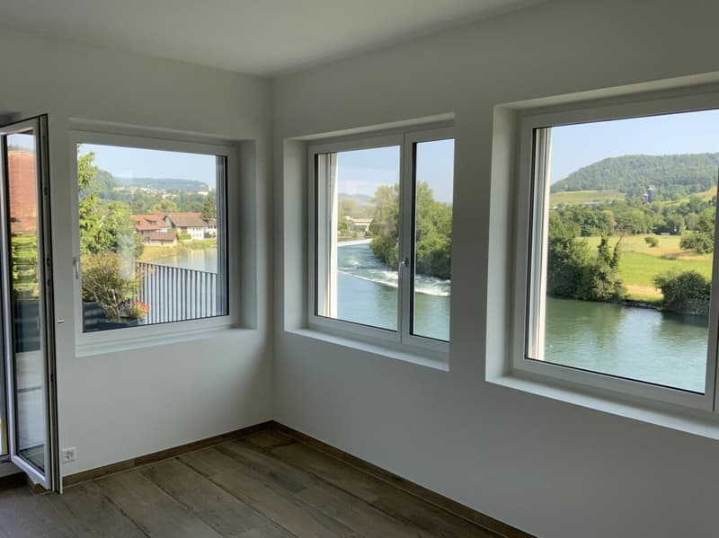 Flusshaus AQUAMARIN Vogelsang (Gemeinde Gebenstorf) (22)