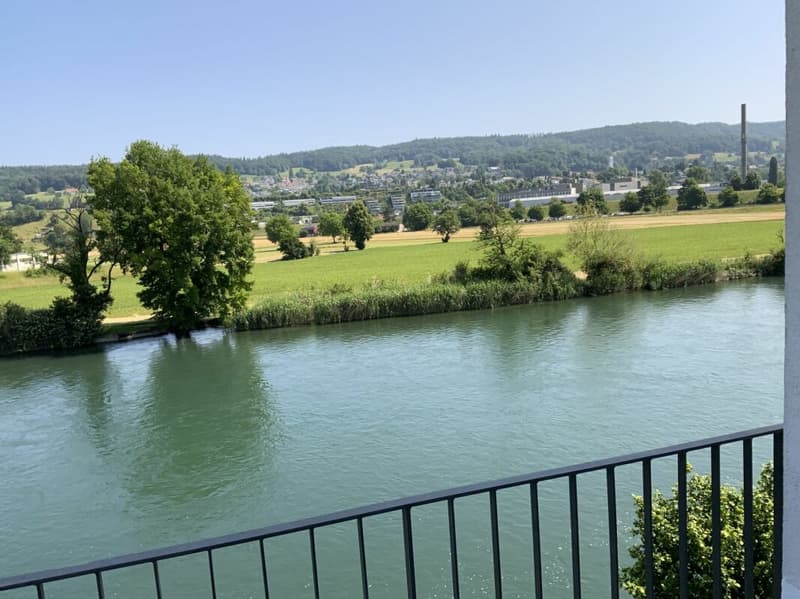 Flusshaus AQUAMARIN Vogelsang (Gemeinde Gebenstorf) (10)