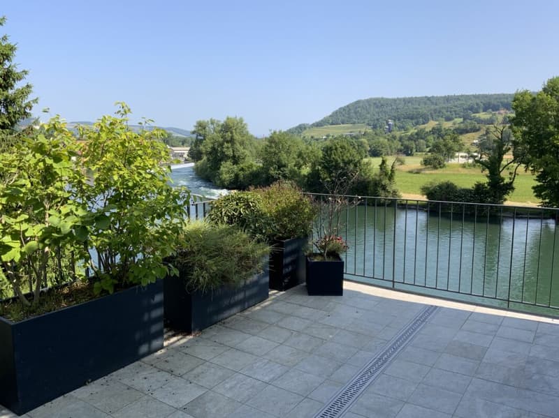 Flusshaus AQUAMARIN Vogelsang (Gemeinde Gebenstorf) (15)