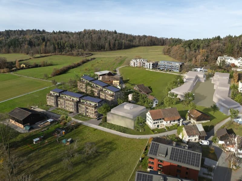 BAUMGARTEN Zürich-Höngg (5)