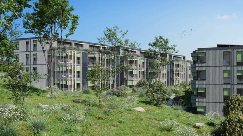 BAUMGARTEN