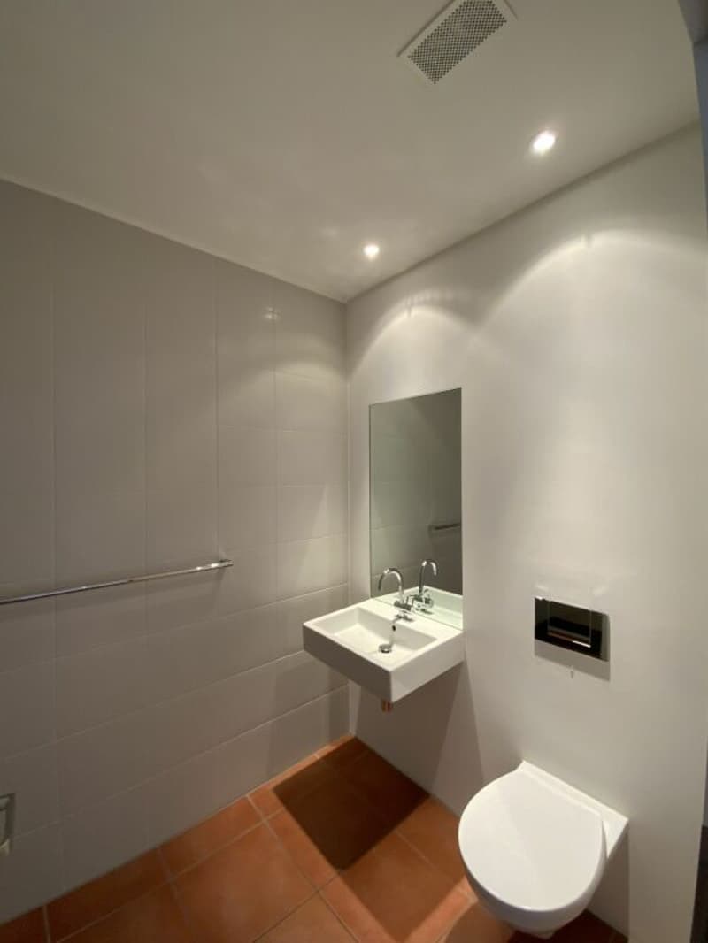 Loft per vivere e lavorare (15)