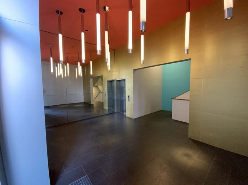 Loft per vivere e lavorare (4)
