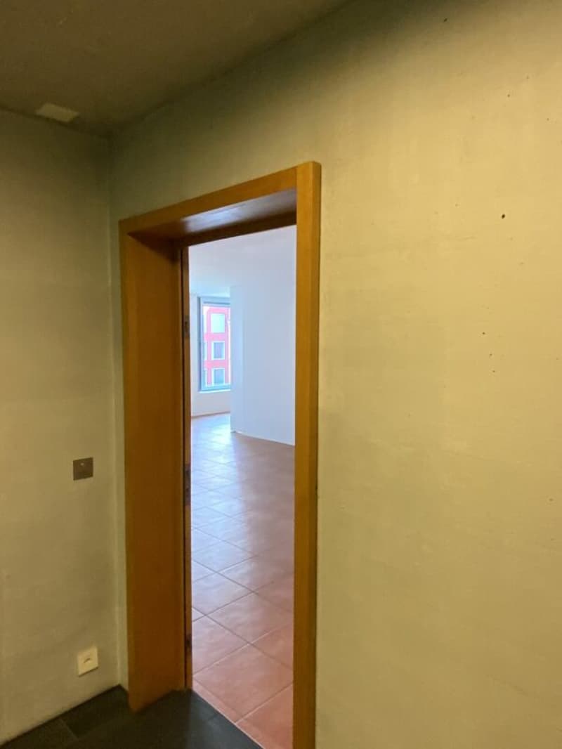 Loft per vivere e lavorare (5)