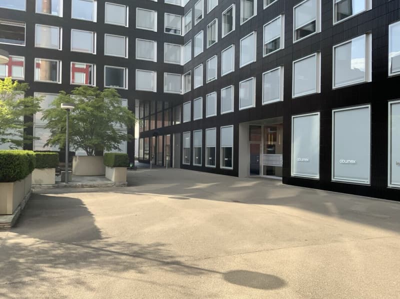 Loft per vivere e lavorare (2)