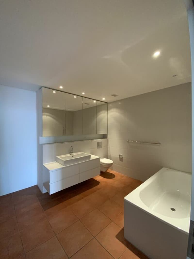 Loft per vivere e lavorare (17)