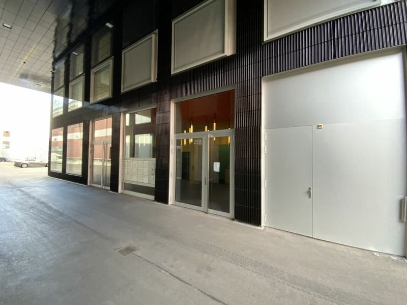 Loft per vivere e lavorare (3)