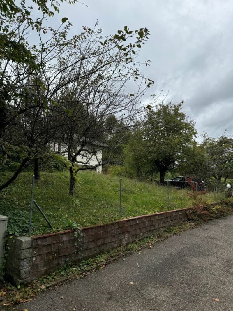 Grundstück mit 1'442m2 mit bestehendem EFH aus dem Jahr 1980 (4)