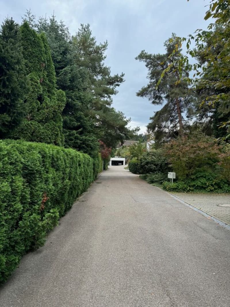 EFH (sanierungsbedürftig) mit 1'442m2 grossem Grundstück (6)
