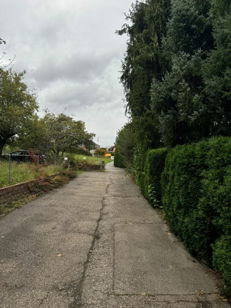 EFH (sanierungsbedürftig) mit 1'442m2 grossem Grundstück (5)