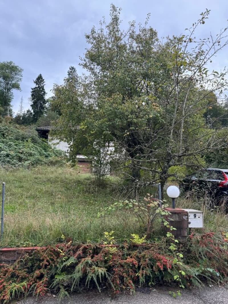 EFH (sanierungsbedürftig) mit 1'442m2 grossem Grundstück (3)