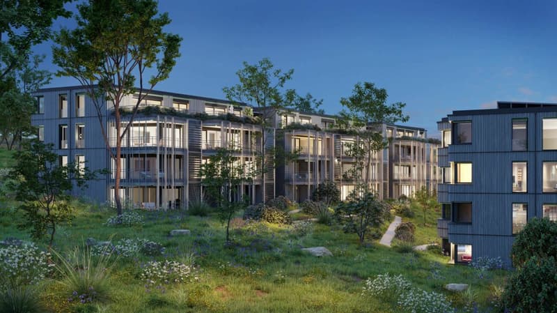 BAUMGARTEN Zürich-Höngg (2)
