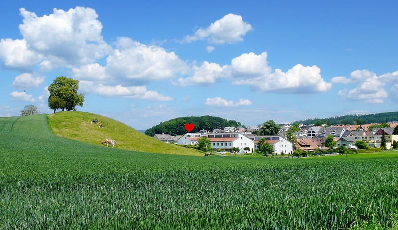Familienidylle direkt an der Grünzone! (24)