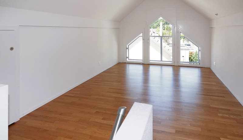 Stilvolle Maisonette-Dachwohnung – viel Raum, viel Licht und hoher Wohnkomfort! (13)