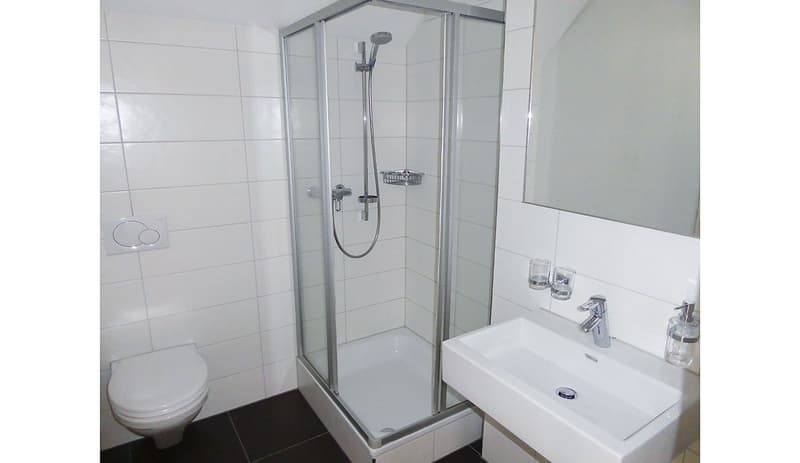 Stilvolle Maisonette-Dachwohnung – viel Raum, viel Licht und hoher Wohnkomfort! (12)