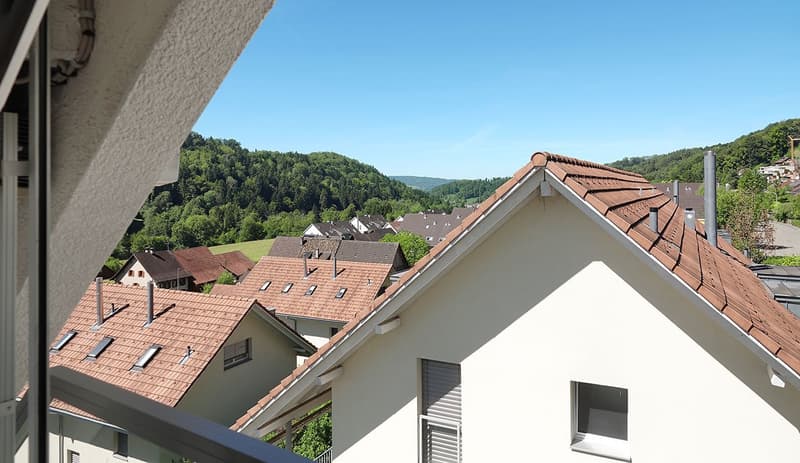 Stilvolle Maisonette-Dachwohnung – viel Raum, viel Licht und hoher Wohnkomfort! (14)