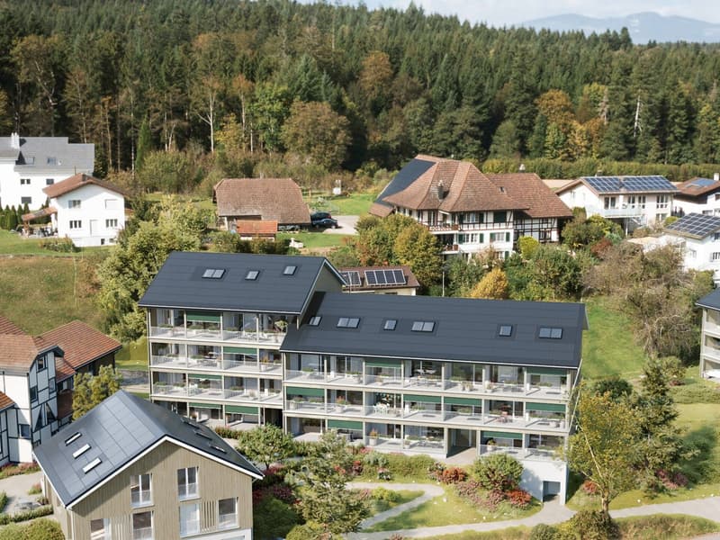 Phantastische 4.5-Zimmer-Dachwohnung - Lärchenhof, Daheim in Vordemwald (4)
