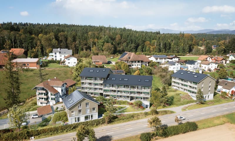 Phantastische 4.5-Zimmer-Dachwohnung - Lärchenhof, Daheim in Vordemwald (2)