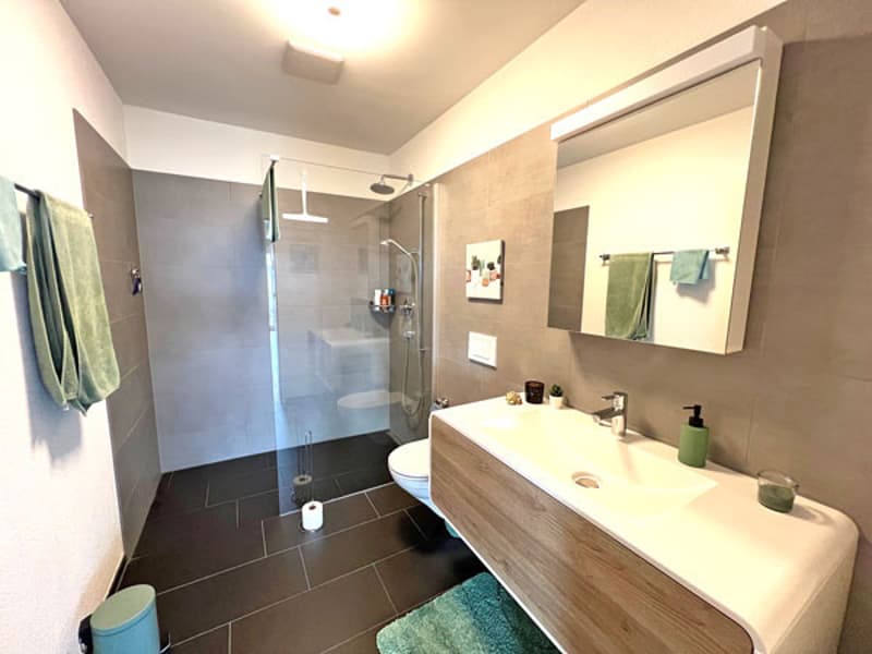 shower, toilet, sink, mirror, towel rack