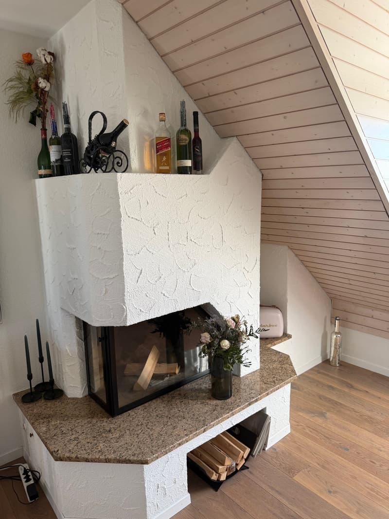 Charming 3.5-room attic apartment with great views (6)