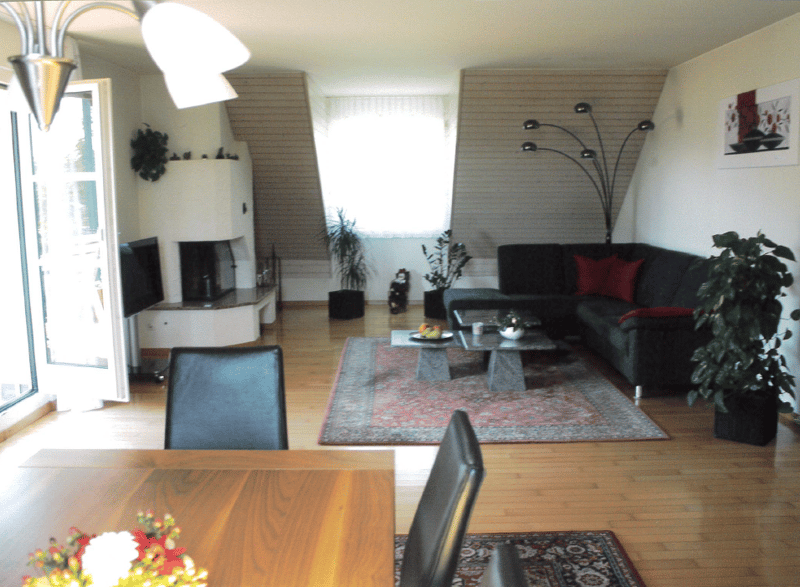Charming 3.5-room attic apartment with great views (13)