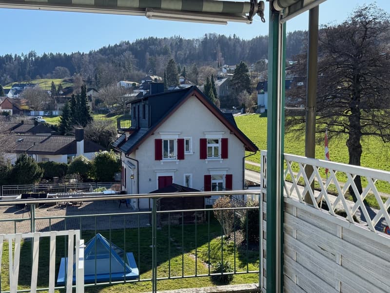 Charming 3.5-room attic apartment with great views (8)