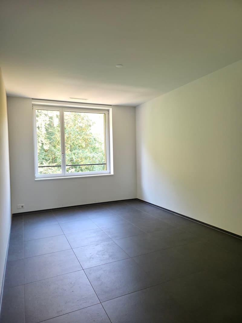 Moderne 2.5-Zimmer-Traumwohnung mit Aussicht (5)