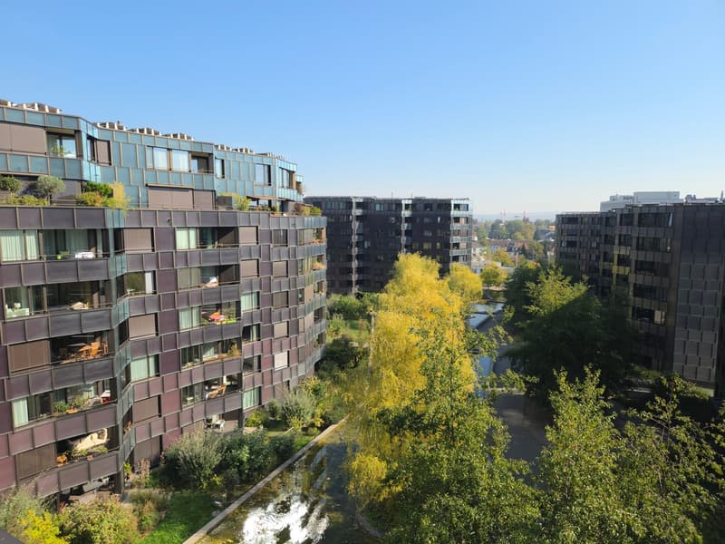 Moderne 2.5-Zimmer-Traumwohnung mit Aussicht (1)
