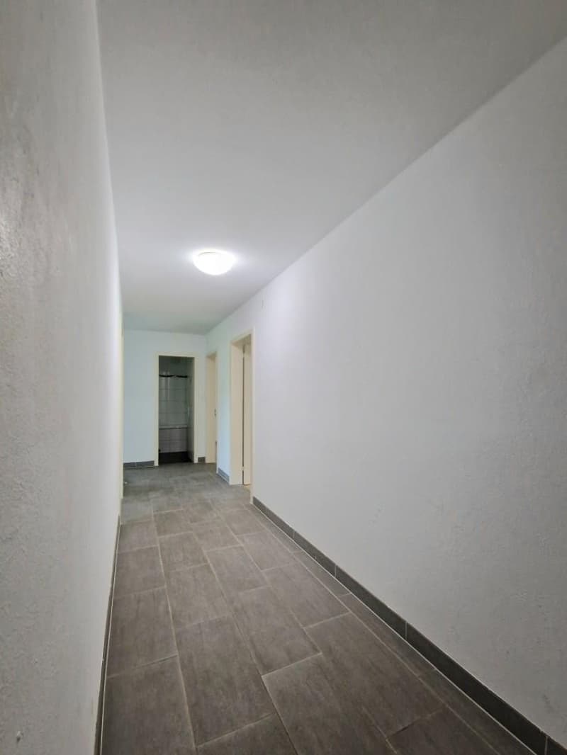 neu 12