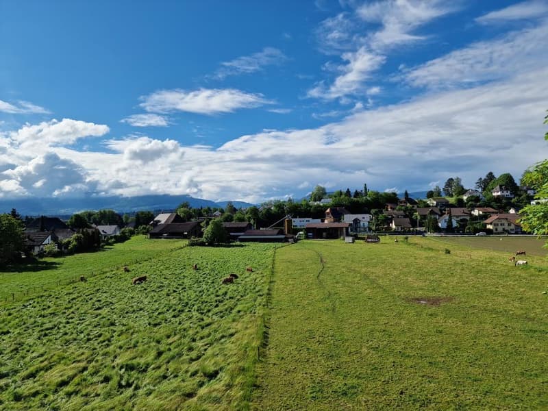 Aussicht