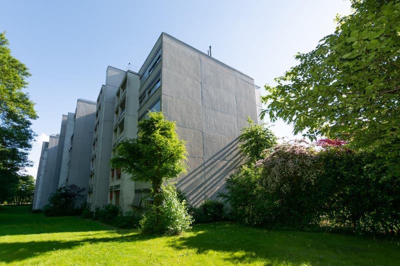Fassade hinten/ Gartenseite