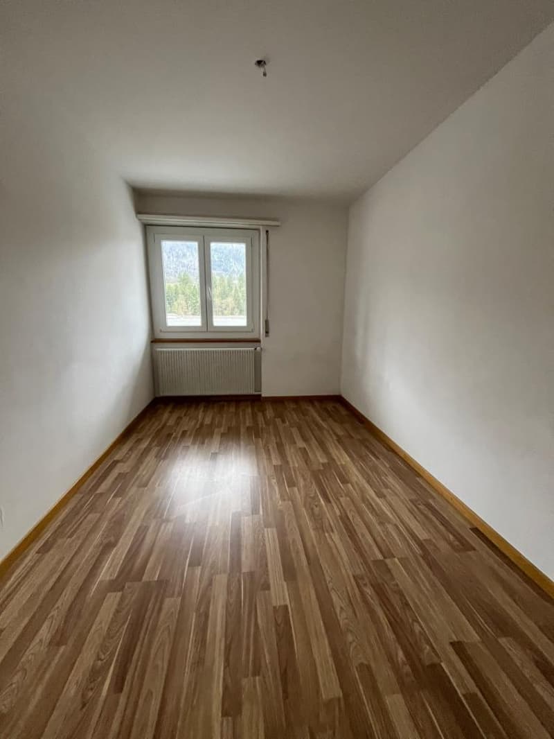 alles 11