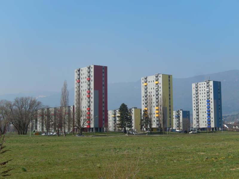 Riedmattstrasse