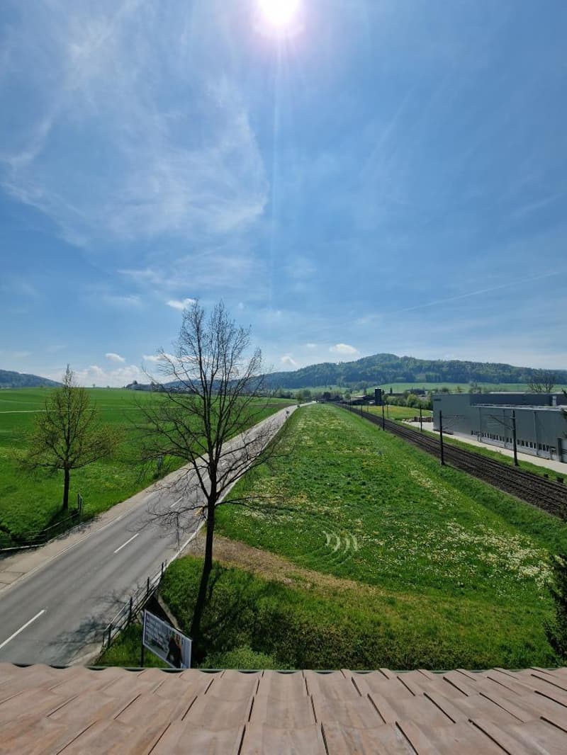 Ausblick