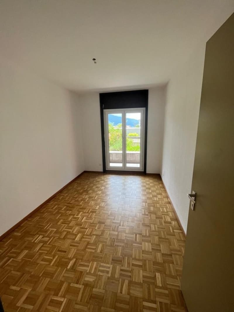 zimmer