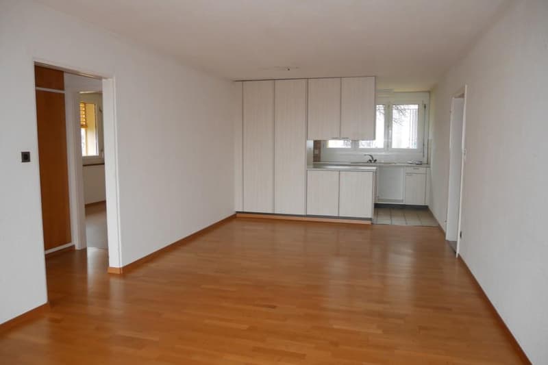 Wohnzimmer / Küche