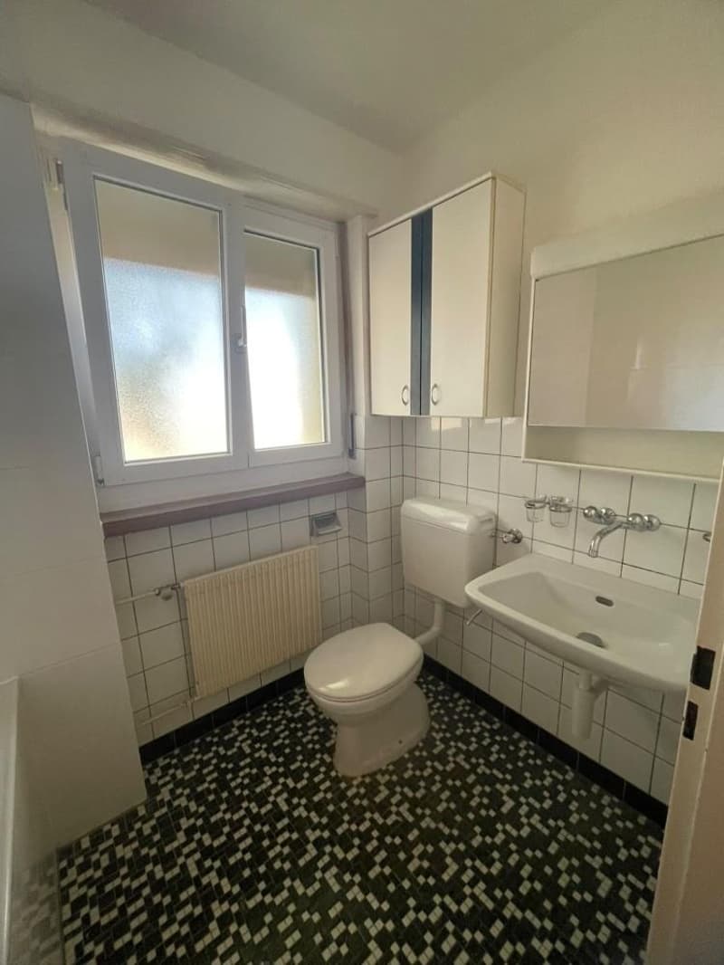 neu 19