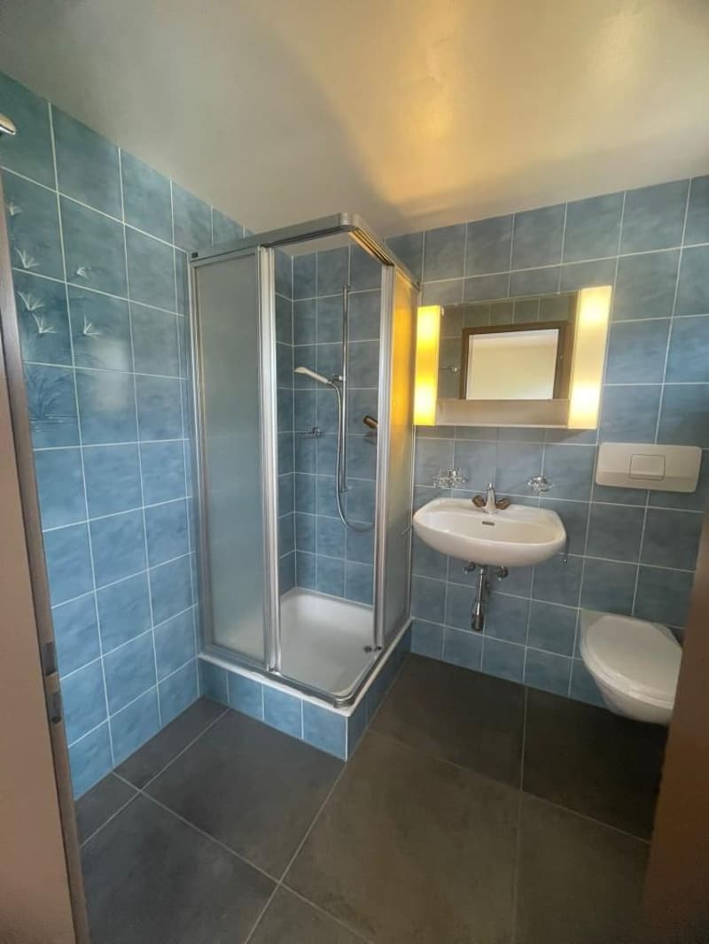 toilette et douche
