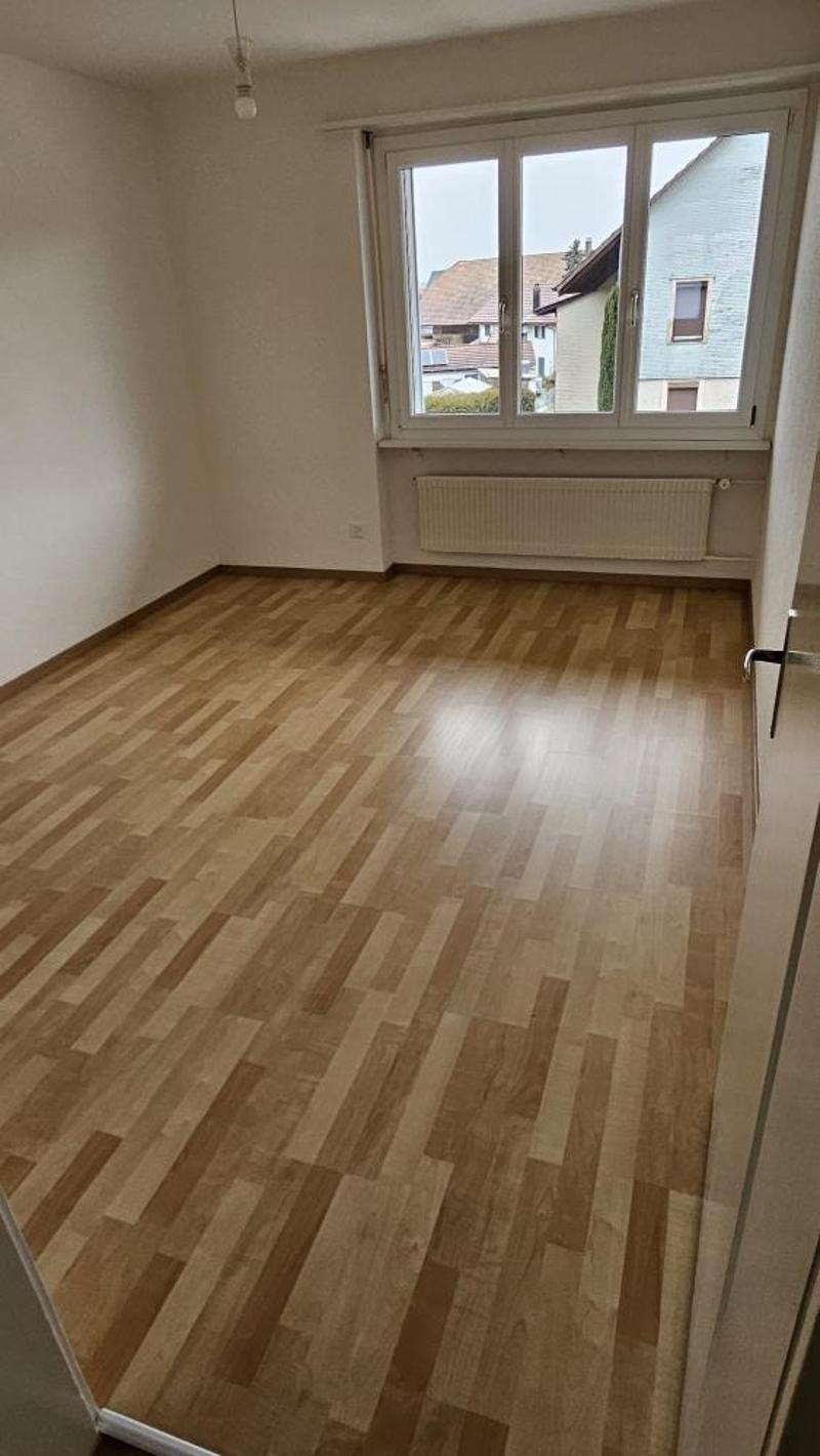 zimmer 1