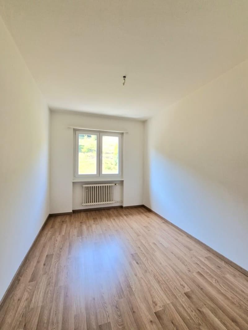 Neu 12