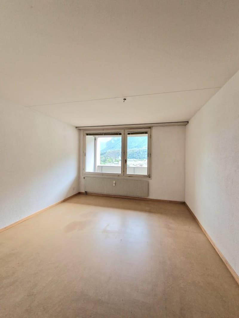 Zimmer1