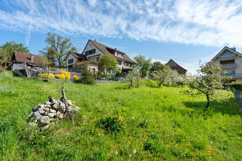 Gartenparzelle mit Blick zum Haus