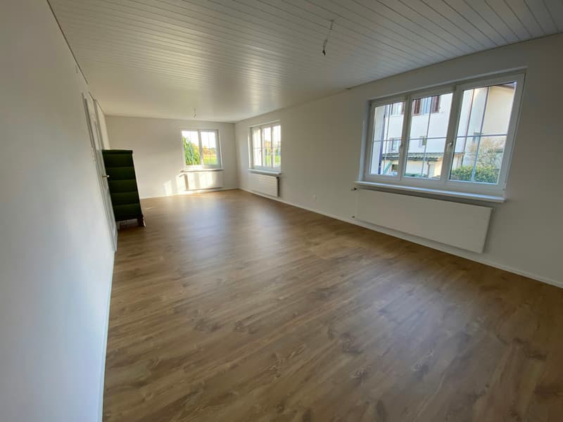 Detached, partially renovated single-family house with large surroundings (8)