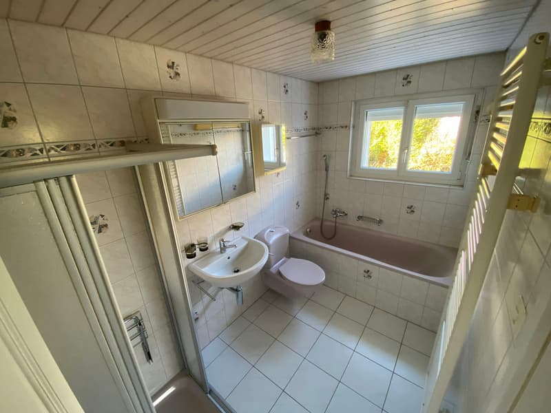 Detached, partially renovated single-family house with large surroundings (4)